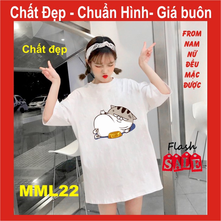 Áo thun mèo cat ami bụng bự m22,uni size free size ,tay lỡ