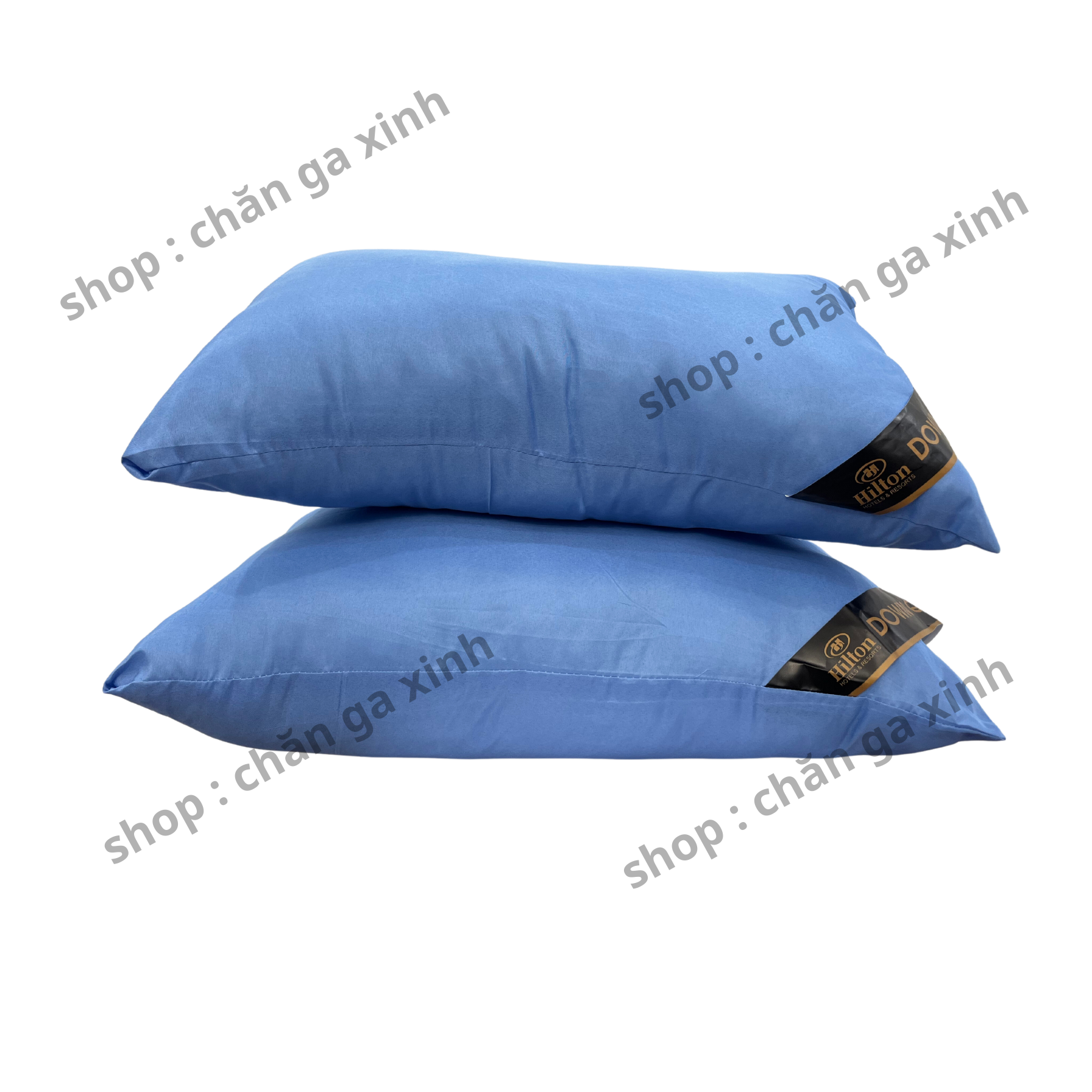 Ruột gối Hilton khách sạn bông trắng cao cấp 45x65 tiêu chuẩn chuyên dùng cho khách sạn và homstay