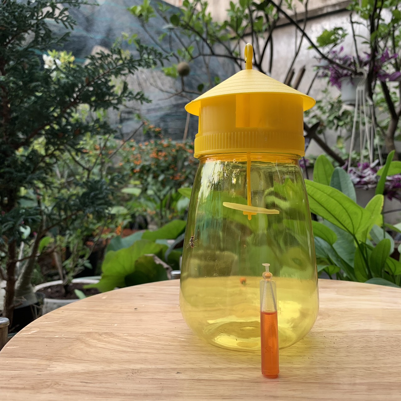 Tuýp 2ml dung dịch dẫn dụ ruồi vàng