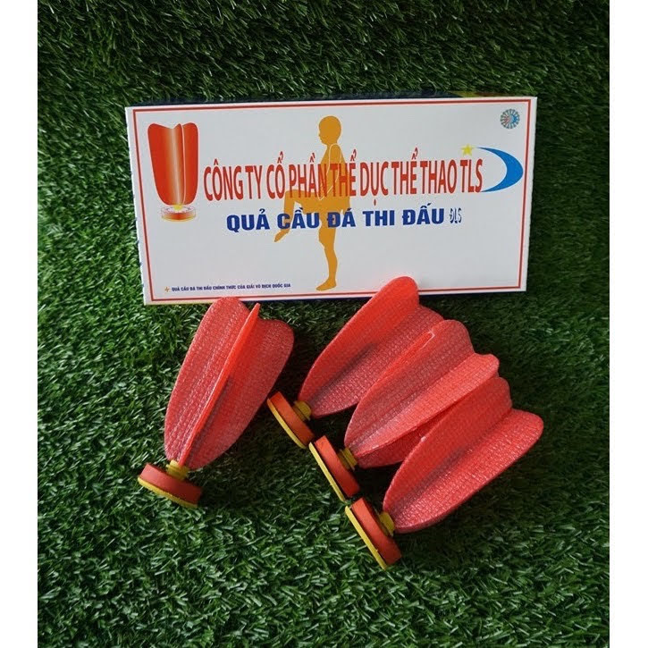 [Hàng Chuẩn]  Một Hộp Cầu Đá Thi Đấu ĐLS - Cầu Đá Tiêu Chuẩn Thi Đấu Quốc Gia