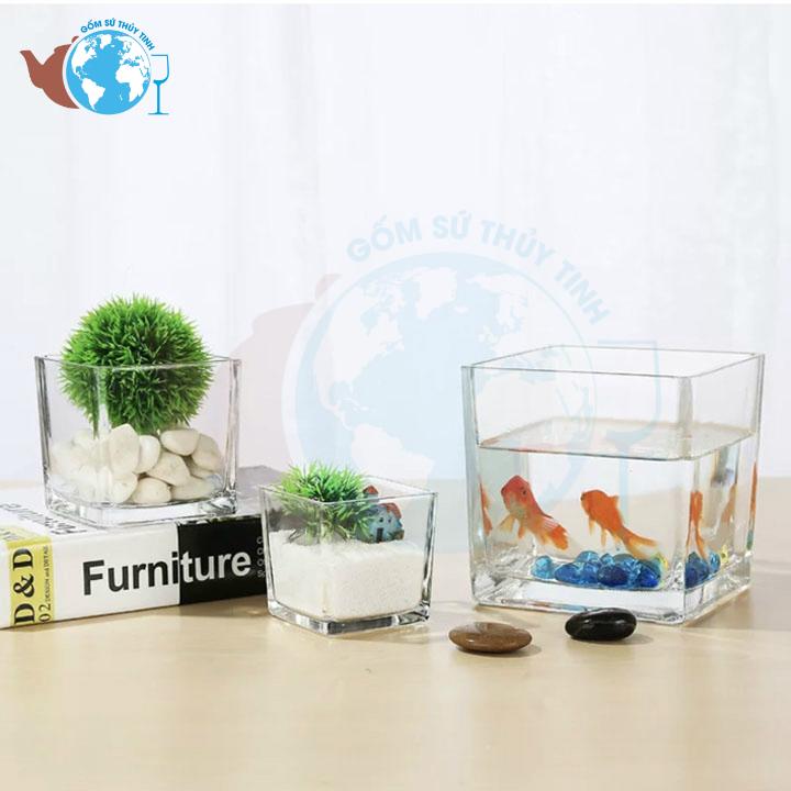 [HCM]Hồ cá vuông mini để bàn 8 cm x 8 cm