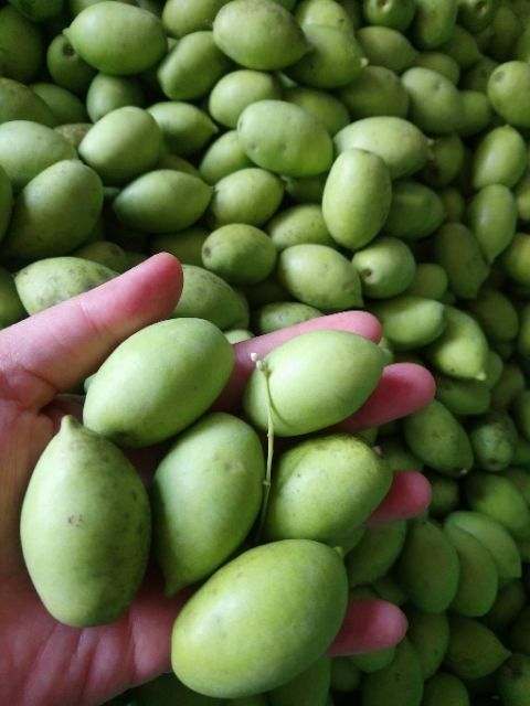 Cà Na Thái ( siêu trái)