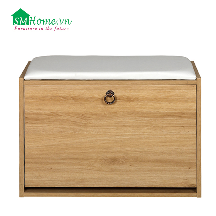 [HCM]Tủ giày thông minh SMHome GD01
