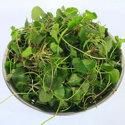 Rau má khô 1kg - tấn phát