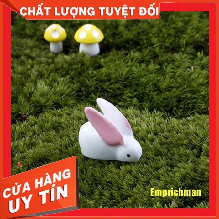 Thỏ mini  phụ kiện trang trí tiểu cảnh