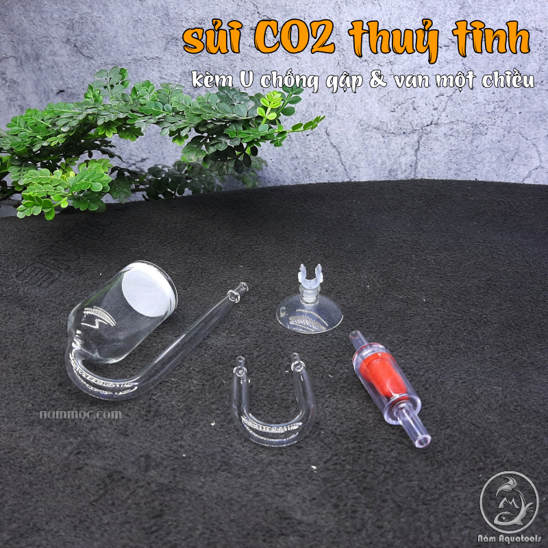 Bộ sủi co2 thuỷ tinh kèm u chống gập và van một chiều