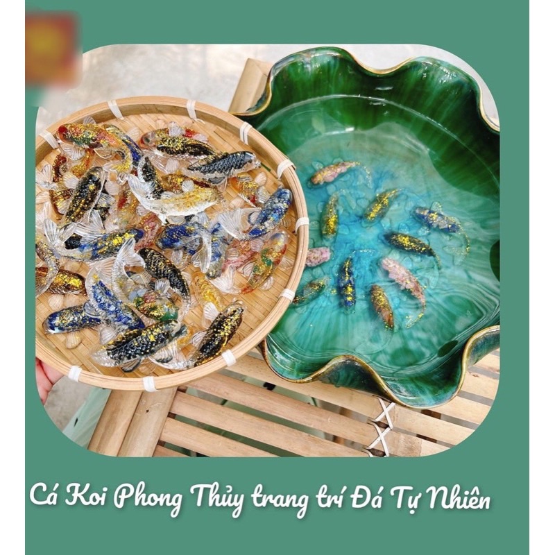 Cá Koi Phong Thuỷ,Bày Bát Tụ Thuỷ, Bể Cá