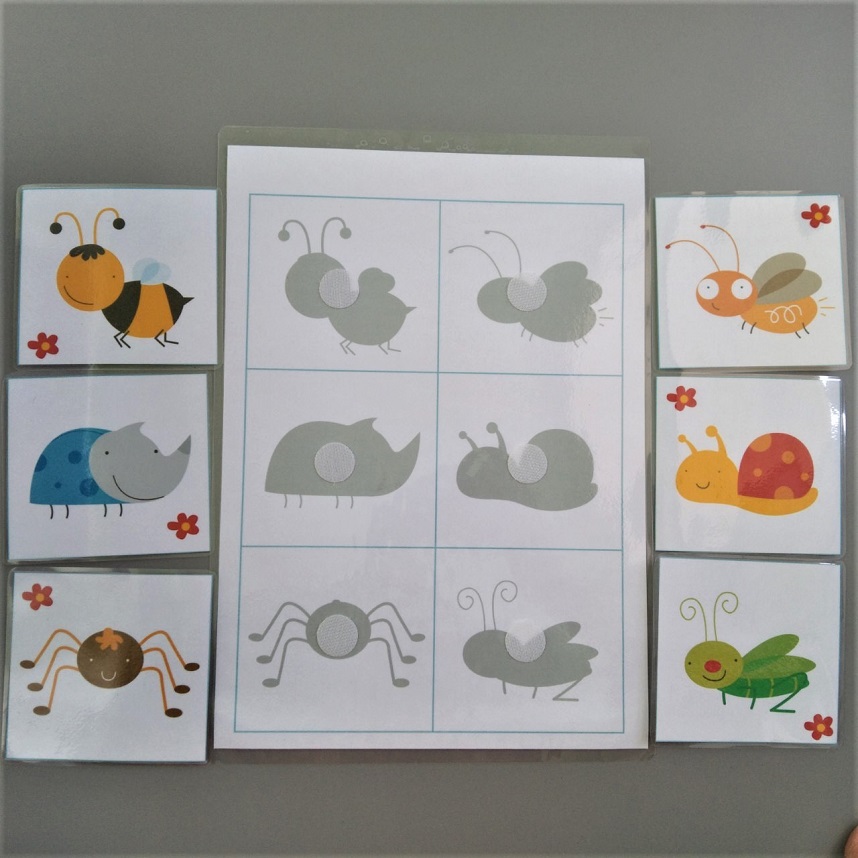 Học liệu - matching tìm hình bóng - tìm bóng côn trùng
