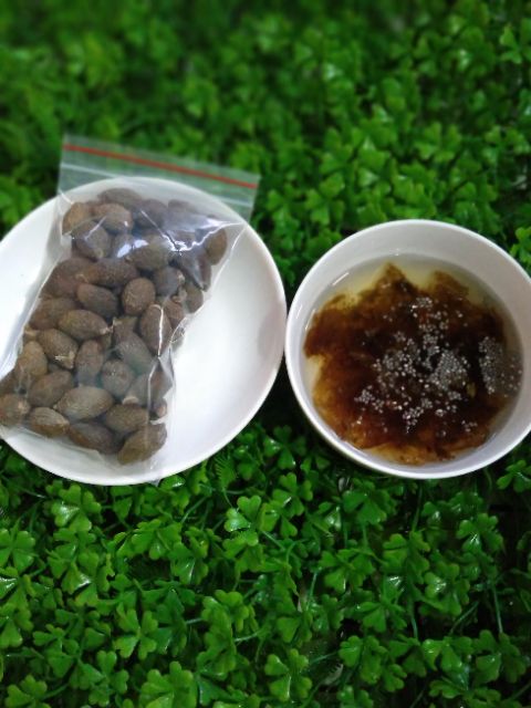 {100G }HẠT ƯƠI BAY RỪNG LOẠI NGON