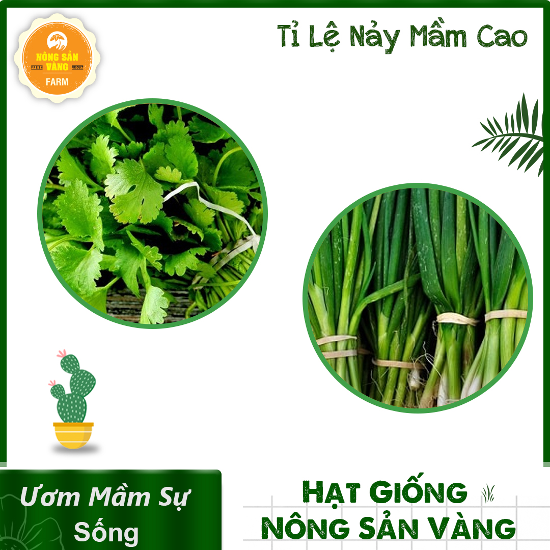 Combo 2 seeds spices because of a bowl of noodles have onion coriander, saving, quality