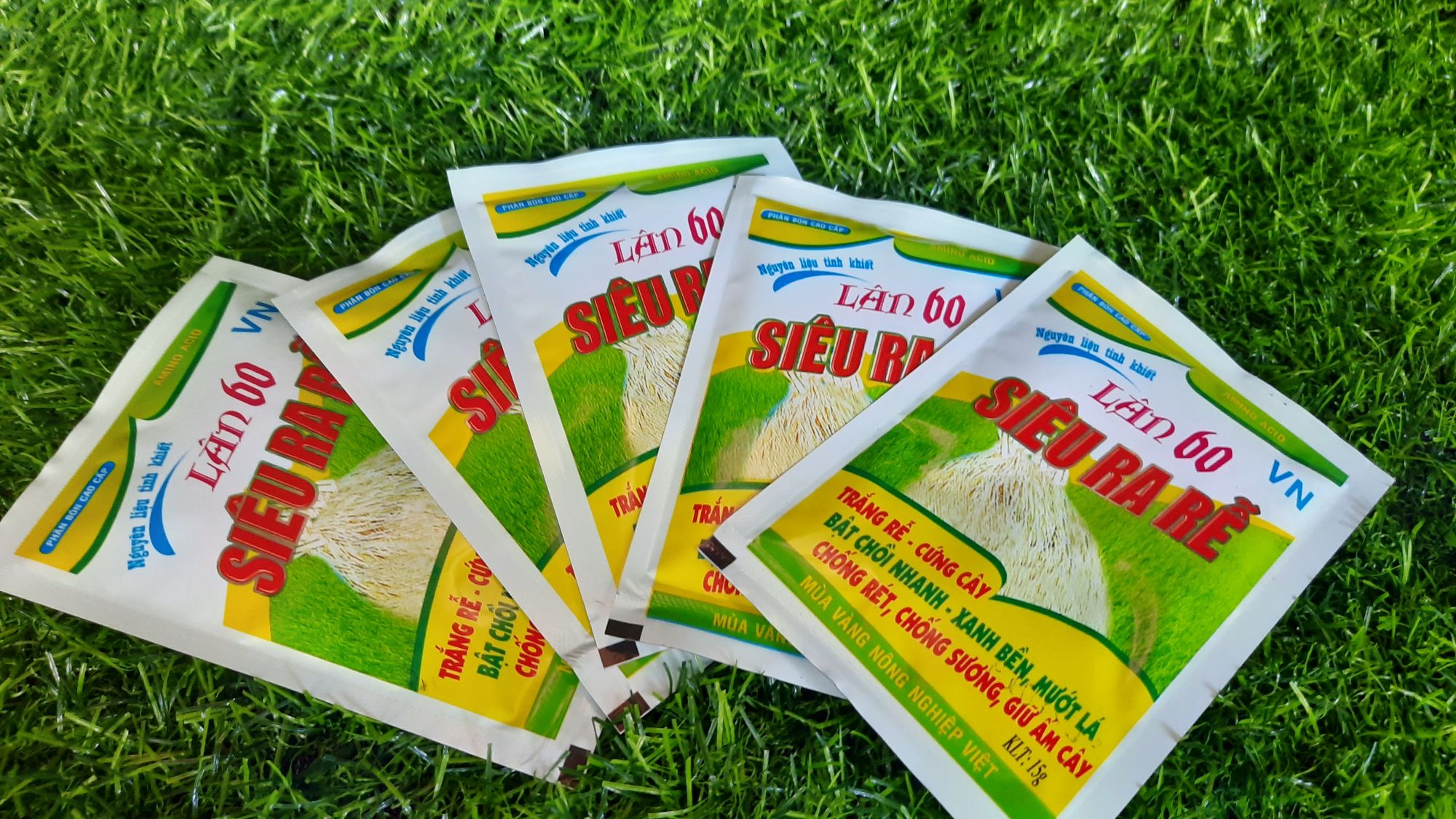 combo chăm sóc hoa lan toàn diện
