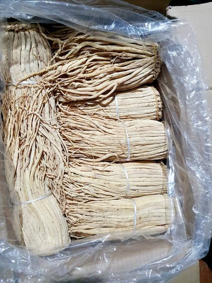 [Hàng Cty] 100g Đẳng sâm khô - đang sâm