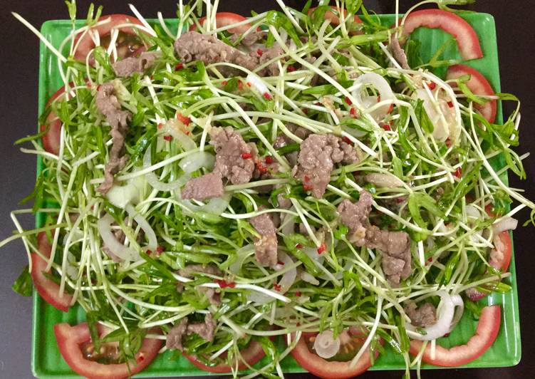 Healthy sprouting seeds healthy 20gr package