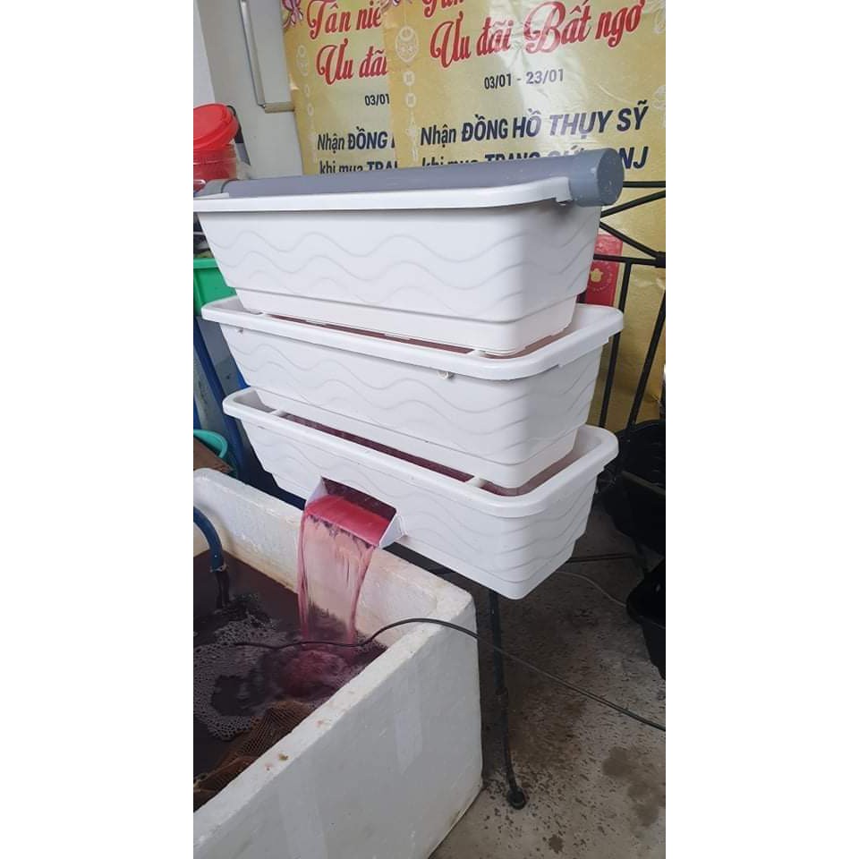 Baki trắng 3 tầng lọc hồ cá (kt 63x22x55cm)