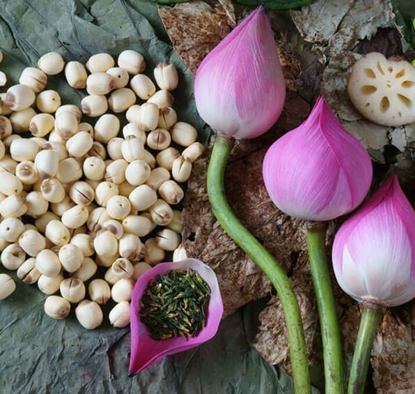 nhân hạt sen mauri 1kg