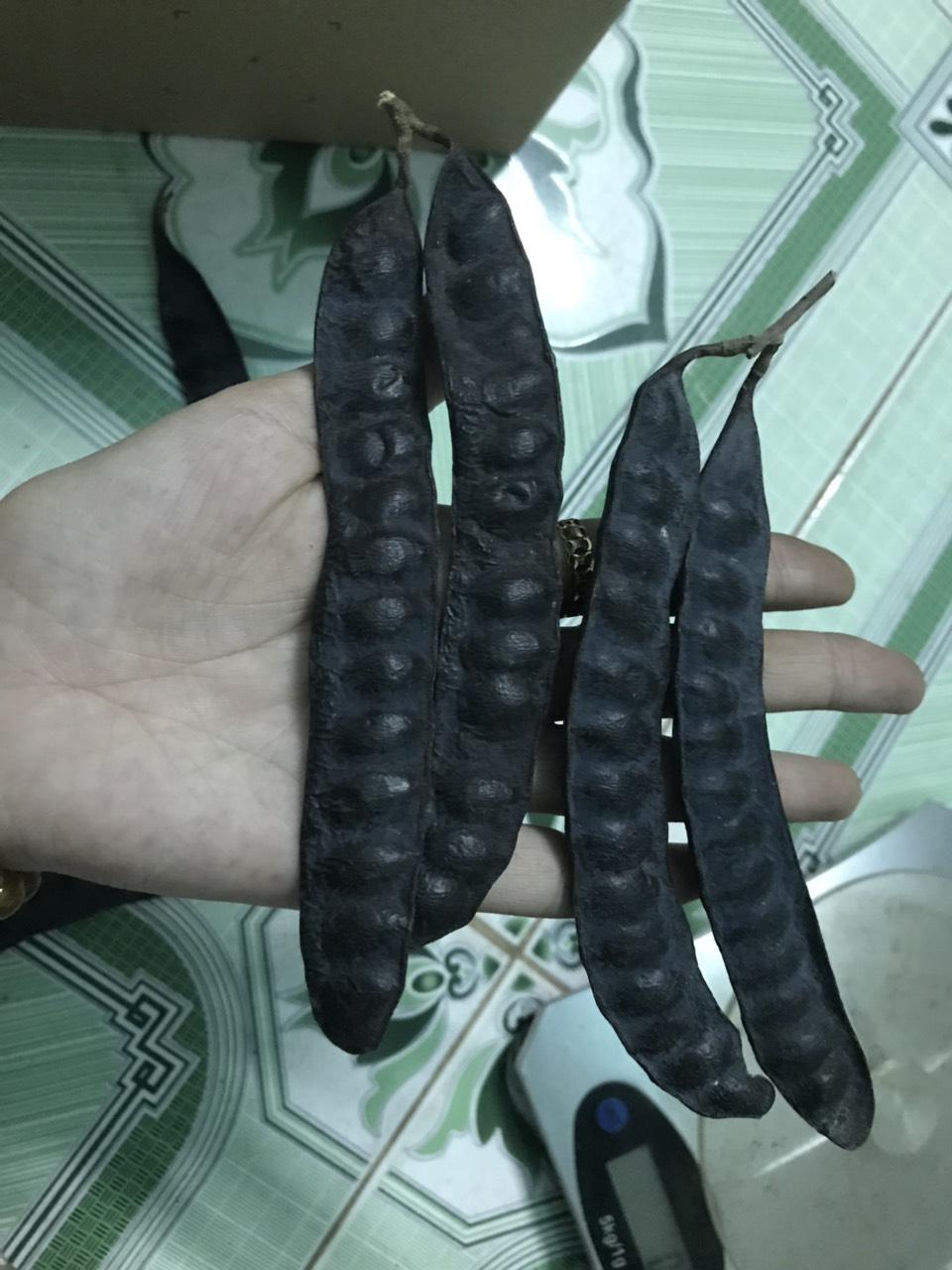 Bồ kết trái khô -500g