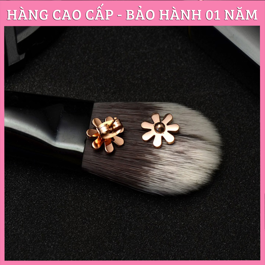 Bông Tai Nữ, Hoa Tai Titan Cúc Họa Mi