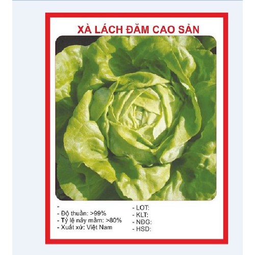 Hạt giống Xà lách đăm Xanh Cao Sảo - Gói 2gr