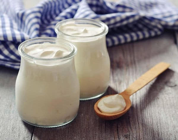 Máy làm sữa chua Hy Lạp Lacor -(làm được cả sữa chua thông thường)