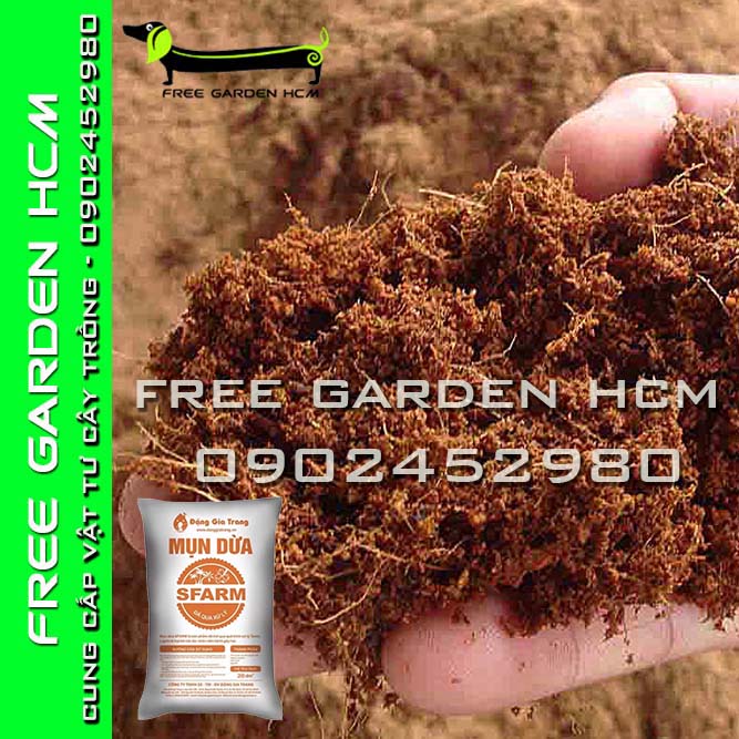 BAO 20dm3 (5,4kg) MỤN DỪA SFARM ĐÃ XỬ LÝ