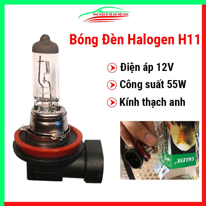 Bóng đèn Halogen Con Cú H11 12V 55W lắp đèn gầm ô tô, máy công trình
