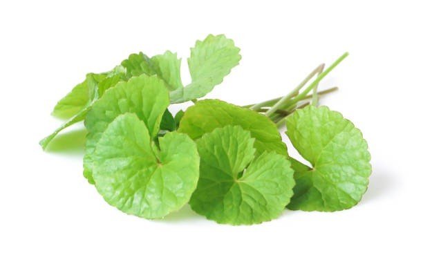 [Chỉ Giao HCM] Rau Má - 300g