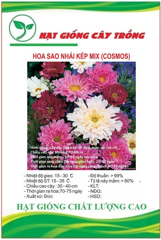 Hạt giống hoa cúc sao nhái hoa cánh kép mix màu - Gói 30 hạt