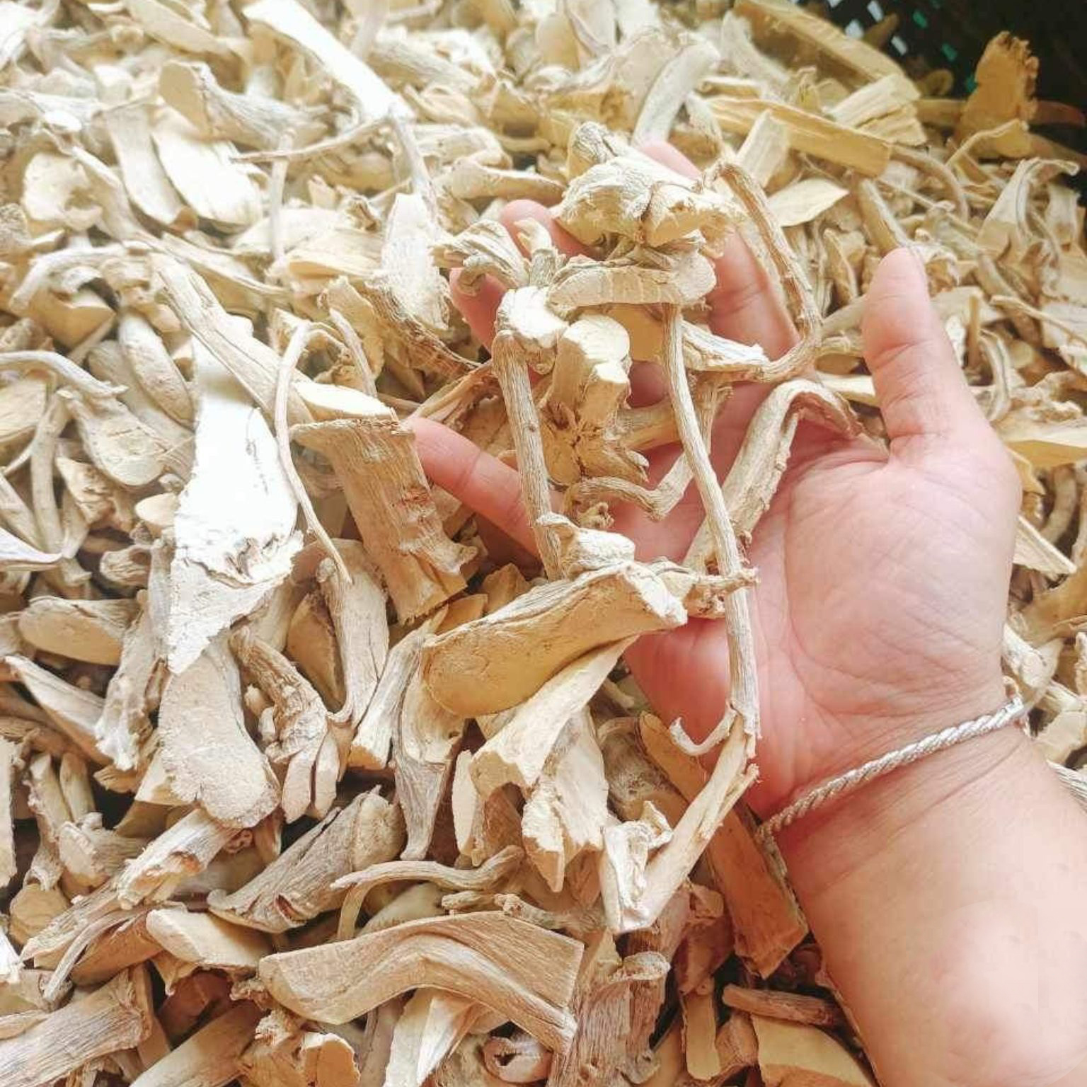 [Hàng công ty mới về] Rễ đinh lăng khô 500g - Hỗ trợ bồi bổ và tăng cường sinh lực