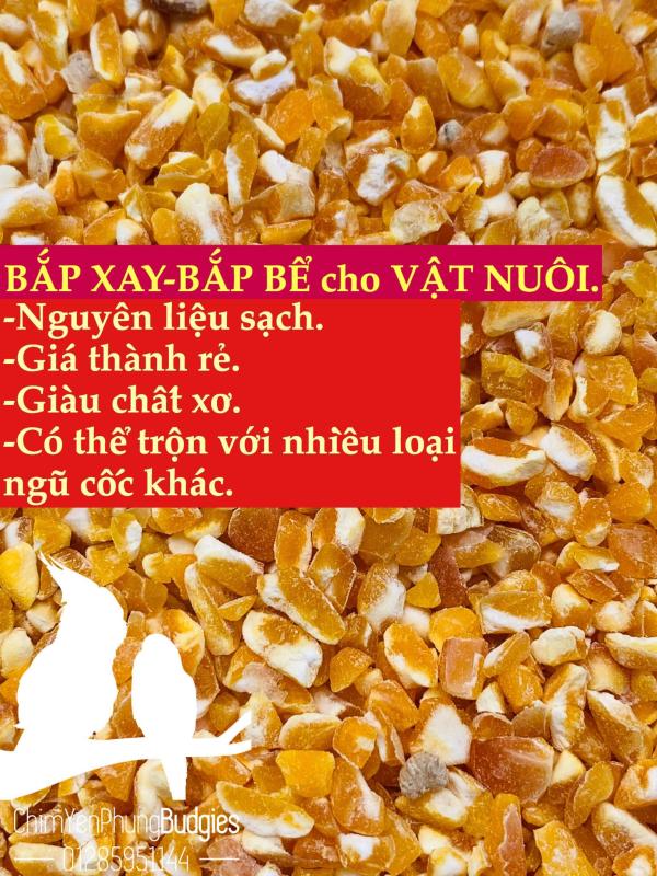 1KG BẮP BỂ BẮP XAY CHO VẬT NUÔI GIA CẦM