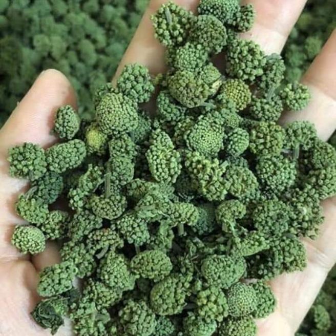 500g nụ tam thất bao tử không cuống