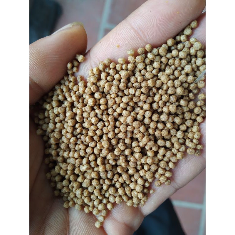 1kg Cám cá Koi, cá vàng Gold Koi Feed AF CA01 hạt 1ly (40% đạm)