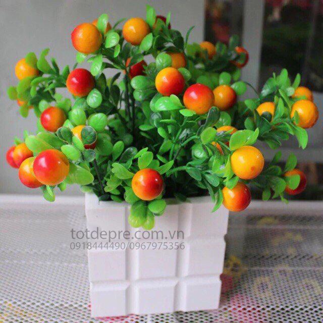 Cây nhựa chery đỏ - Cây Nhựa Cao Cấp