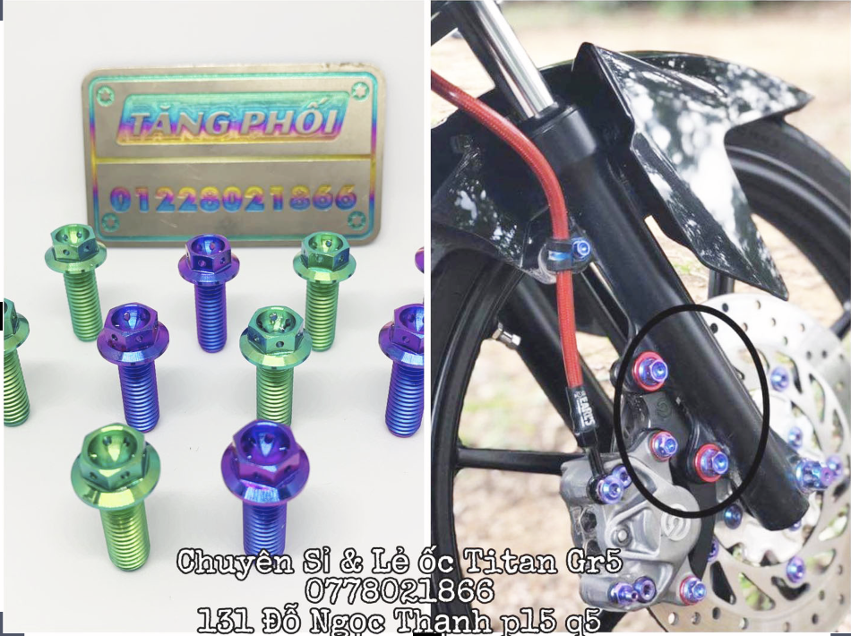 Ốc Titan Gr5 8li25 đầu PROBOLT giữ pass heo cho các dòng xe Honda và bắt gác chân sau các loại xe