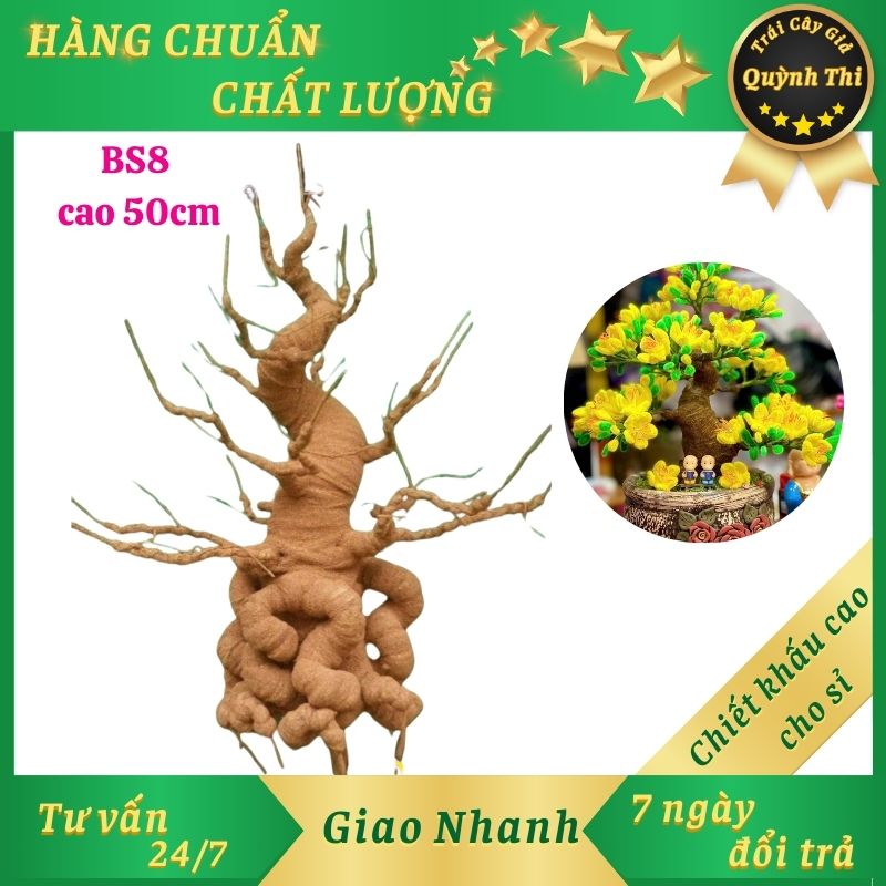 Gốc cây bonsai giả - loại bs8 cao 50 cm - gốc cây giả