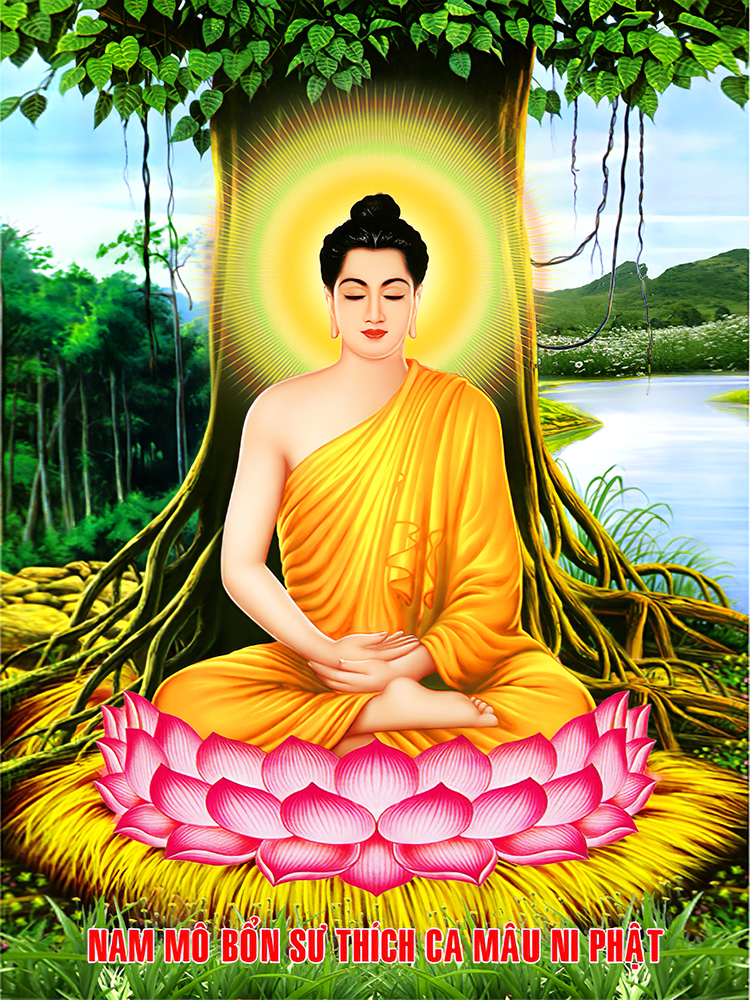 Tranh Phật Thích ca thiền định kèm khung số 39