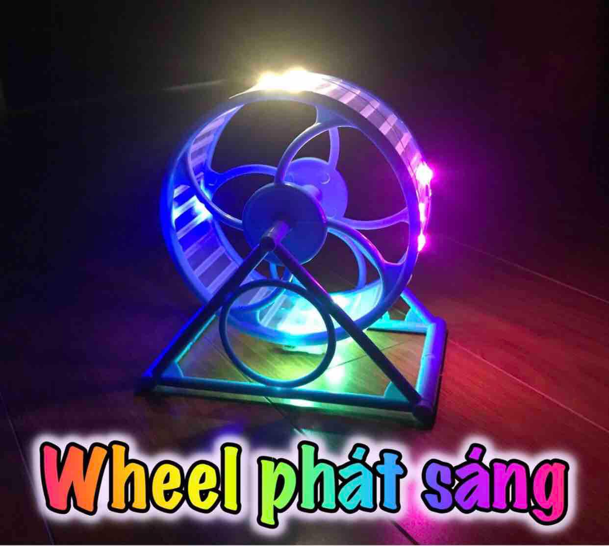 Wheel chạy phát sáng cho hámter cỡ lớn 12,5cm