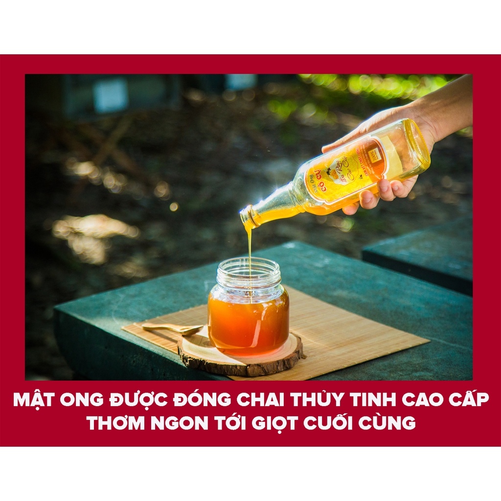 Mật ong nguyên chất 1 lít Đặc sản Cô Cự
