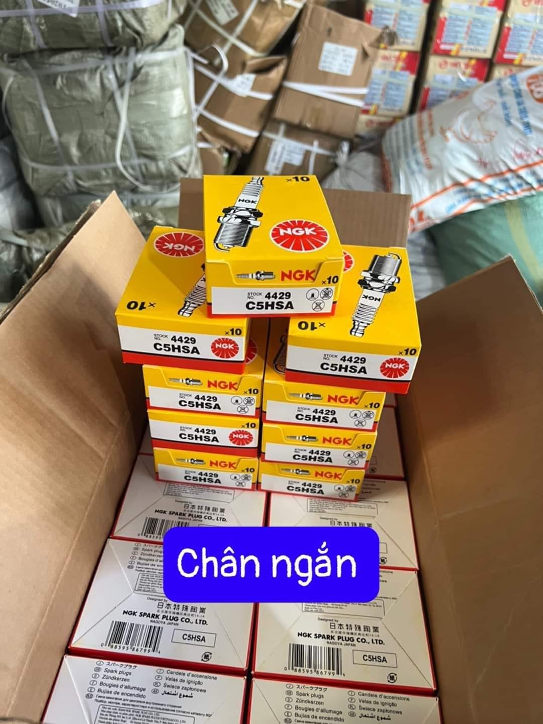 (RẺ VÔ ĐỊCH) Bugi NGK Xe Dream Wave CHÂN NGẮN - CHÂN DÀI