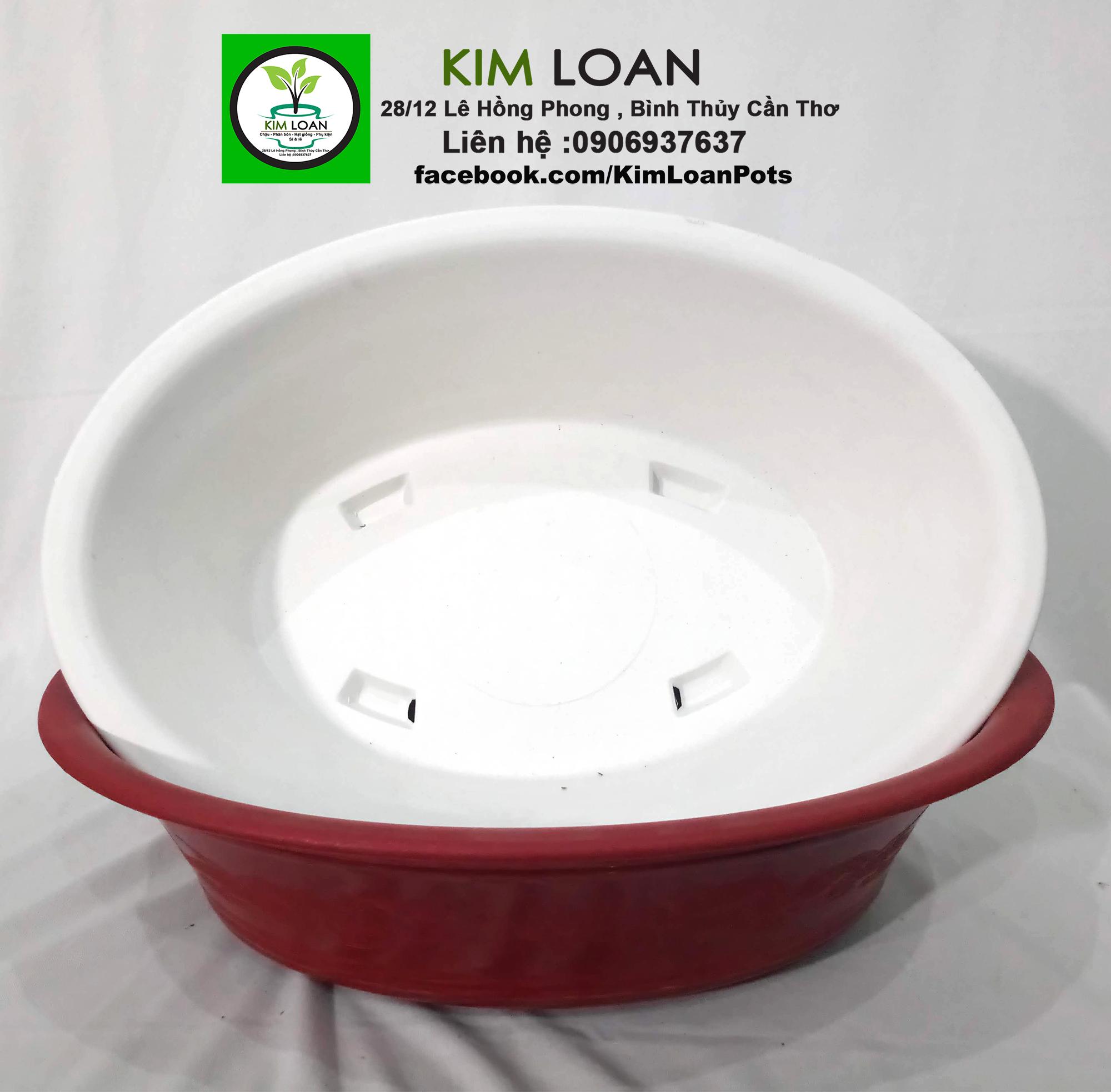 Combo 4 chậu nhựa ovan vành loe 39x28x12cm