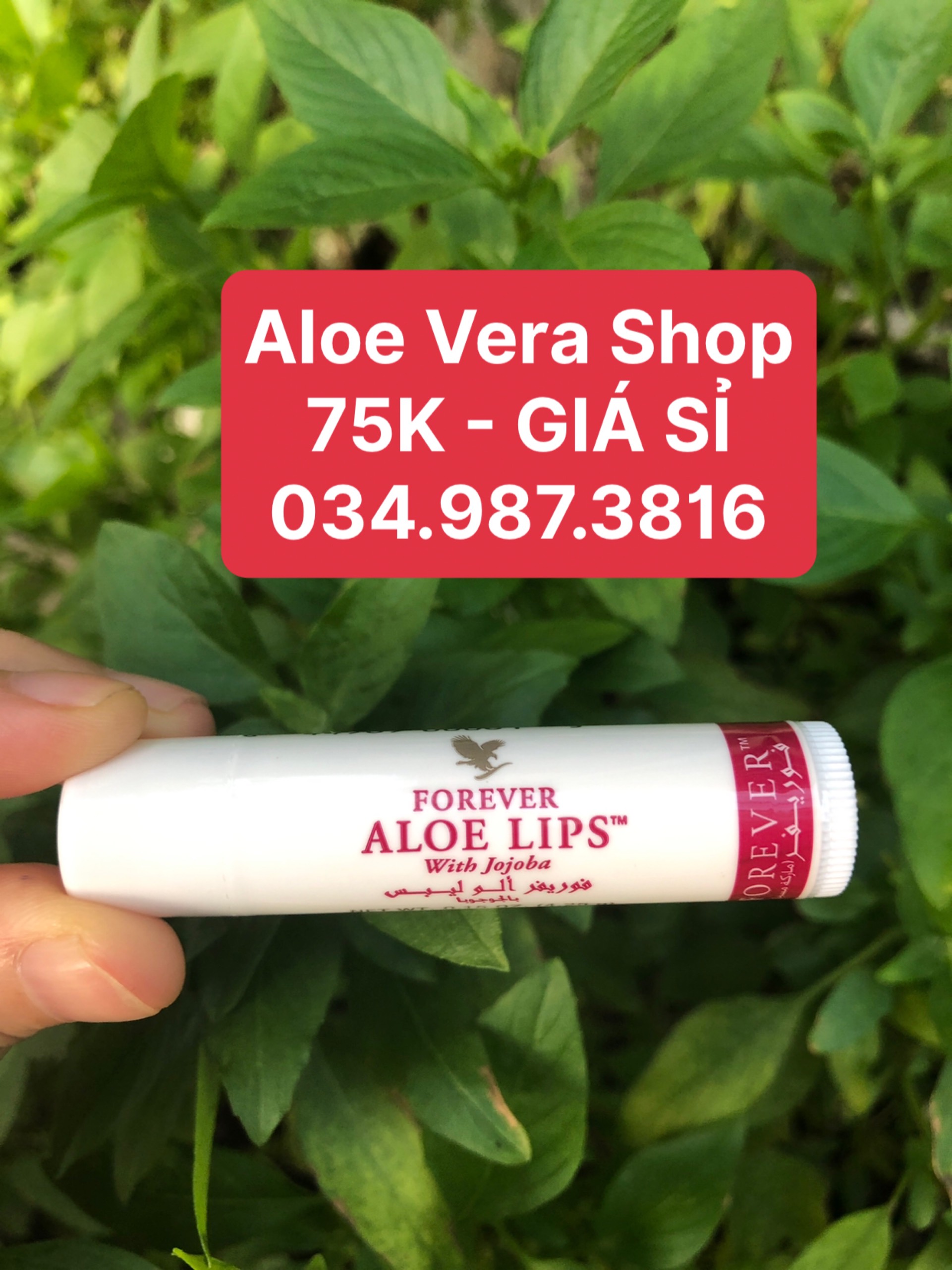 [RẺ VÔ ĐỊCH] Son Dưỡng Môi Đa Năng Aloe Lips FOREVER 022FLP - 022forever - 022lohoi