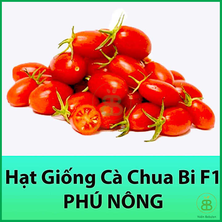Hạt Giống Cà Chua Bi F1 Siêu Quả