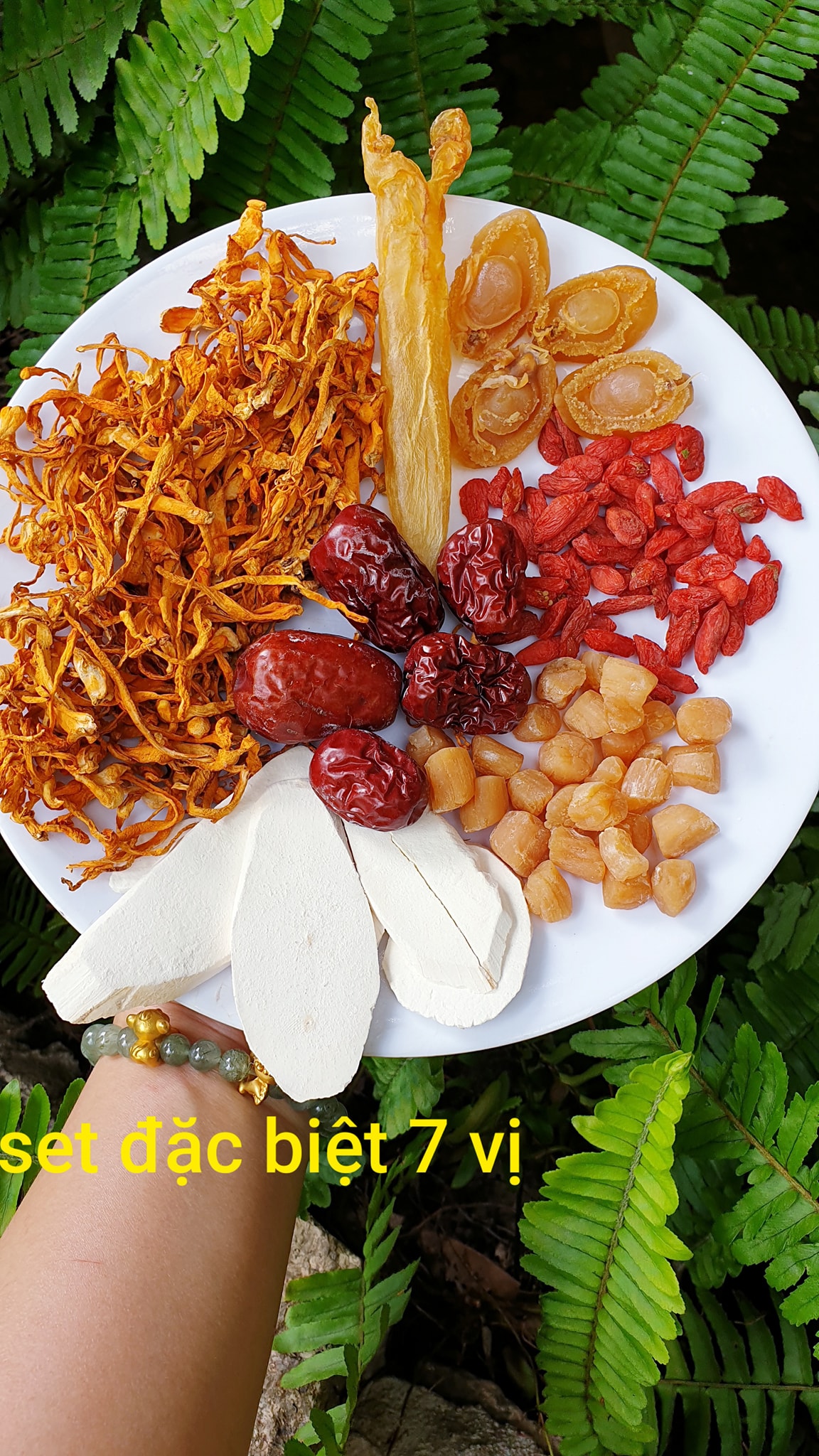 Set canh bào ngư 7 vị đặc biệt