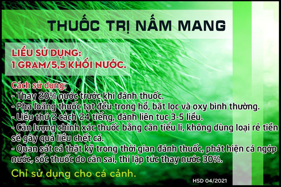 [HCM]Diệt Nấm Mang cho Cá - Hủ 50gr