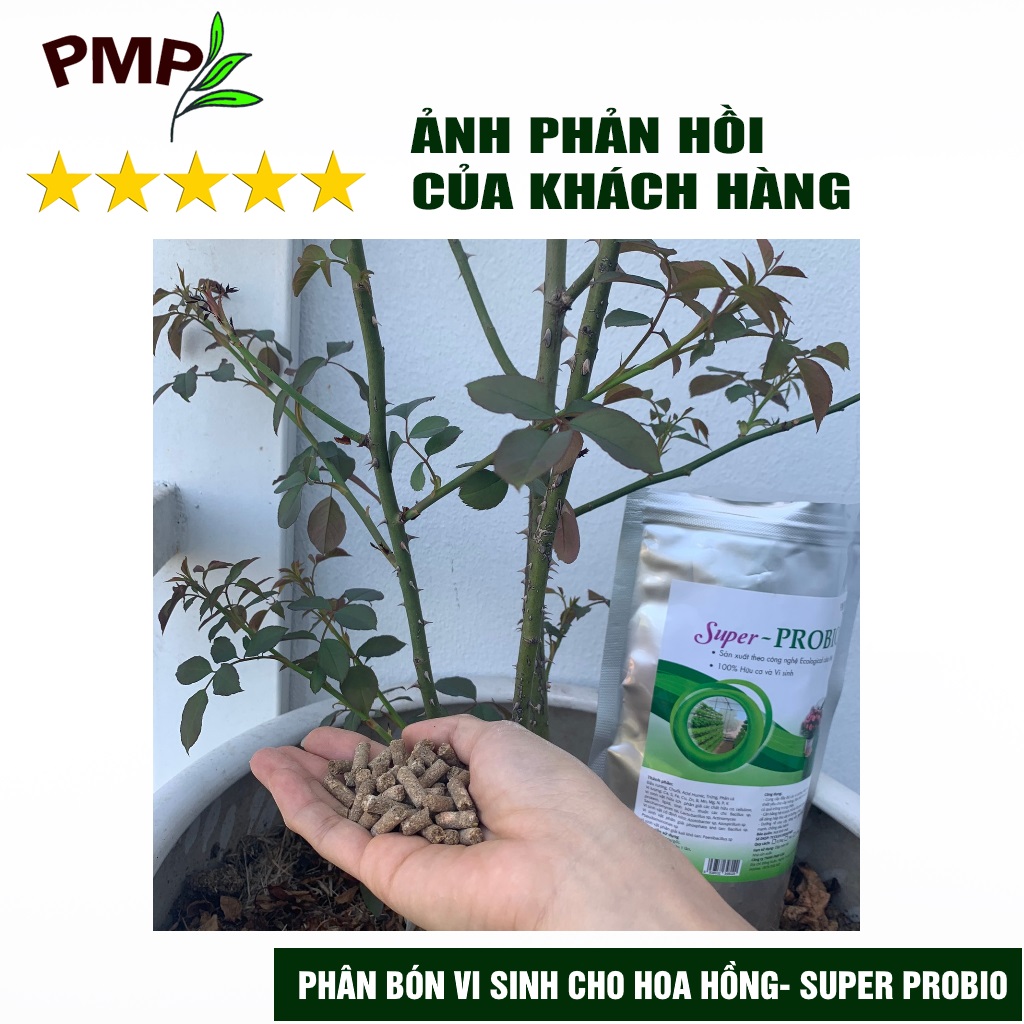 Phân Bón Hoa Hồng SOYMIC & Super Probio PMP Viên Nén Tan Chậm