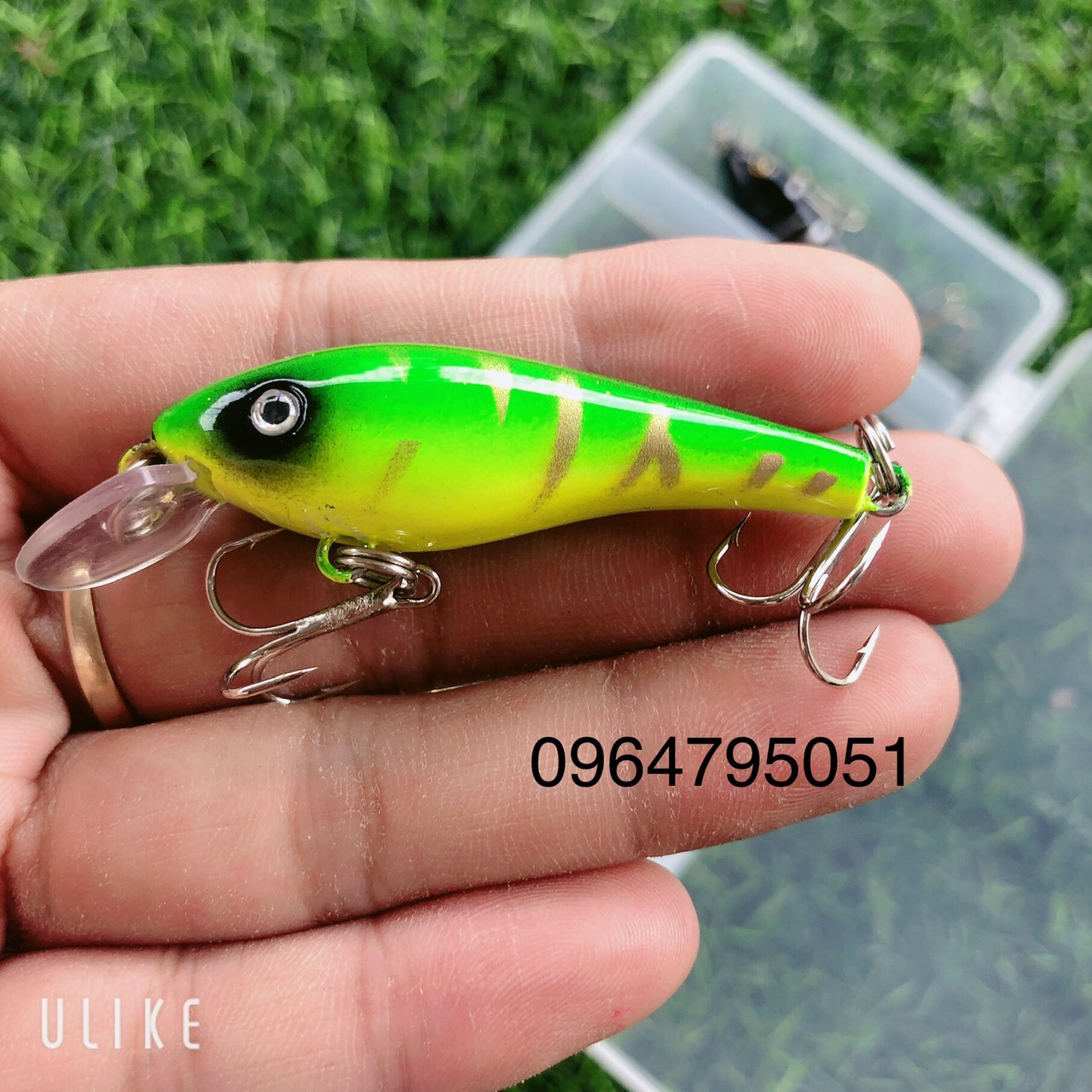 hộp mồi câu 5 con cá giả câu lure