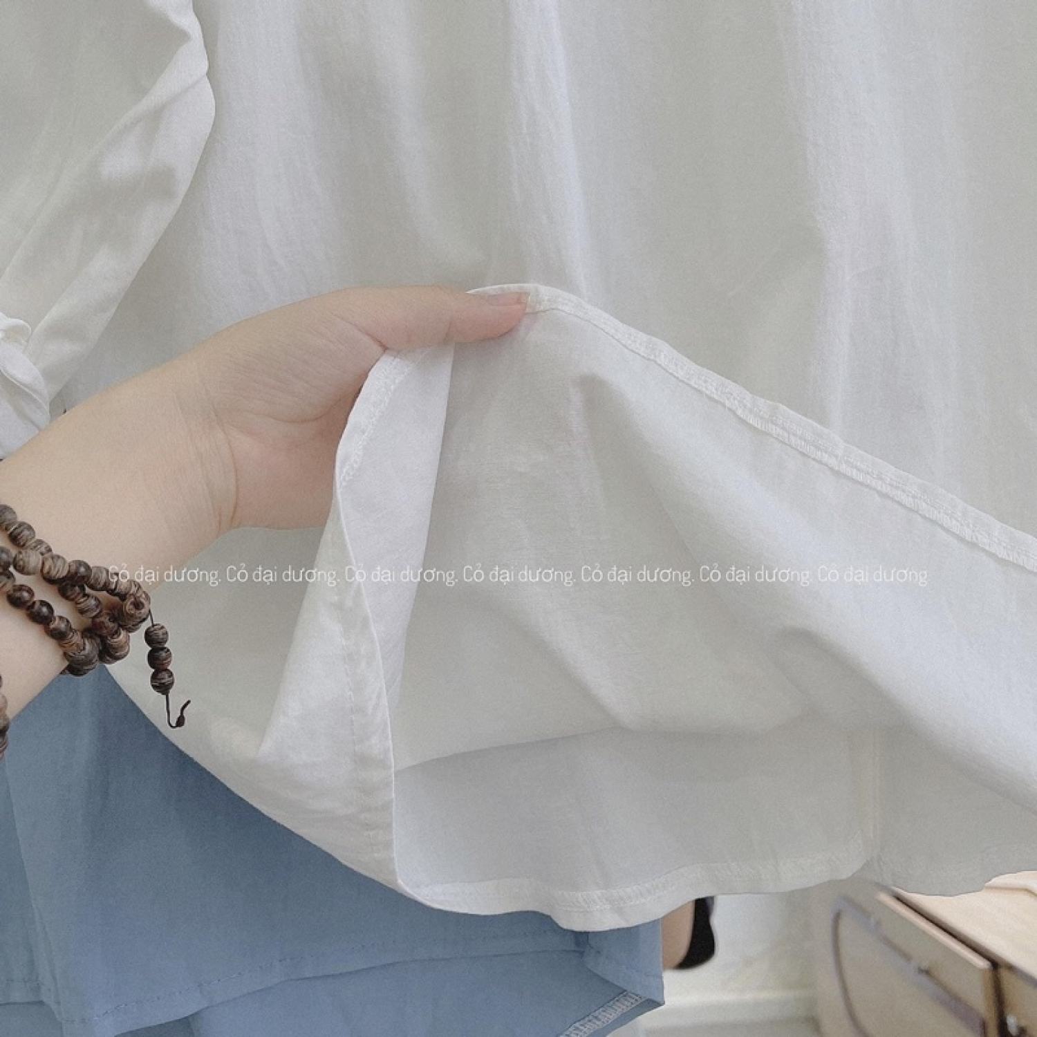 Áo sơ mi in chữ BSOLUTE in lưng
