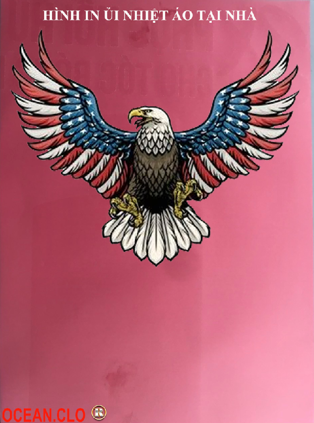 Logo American Eagle