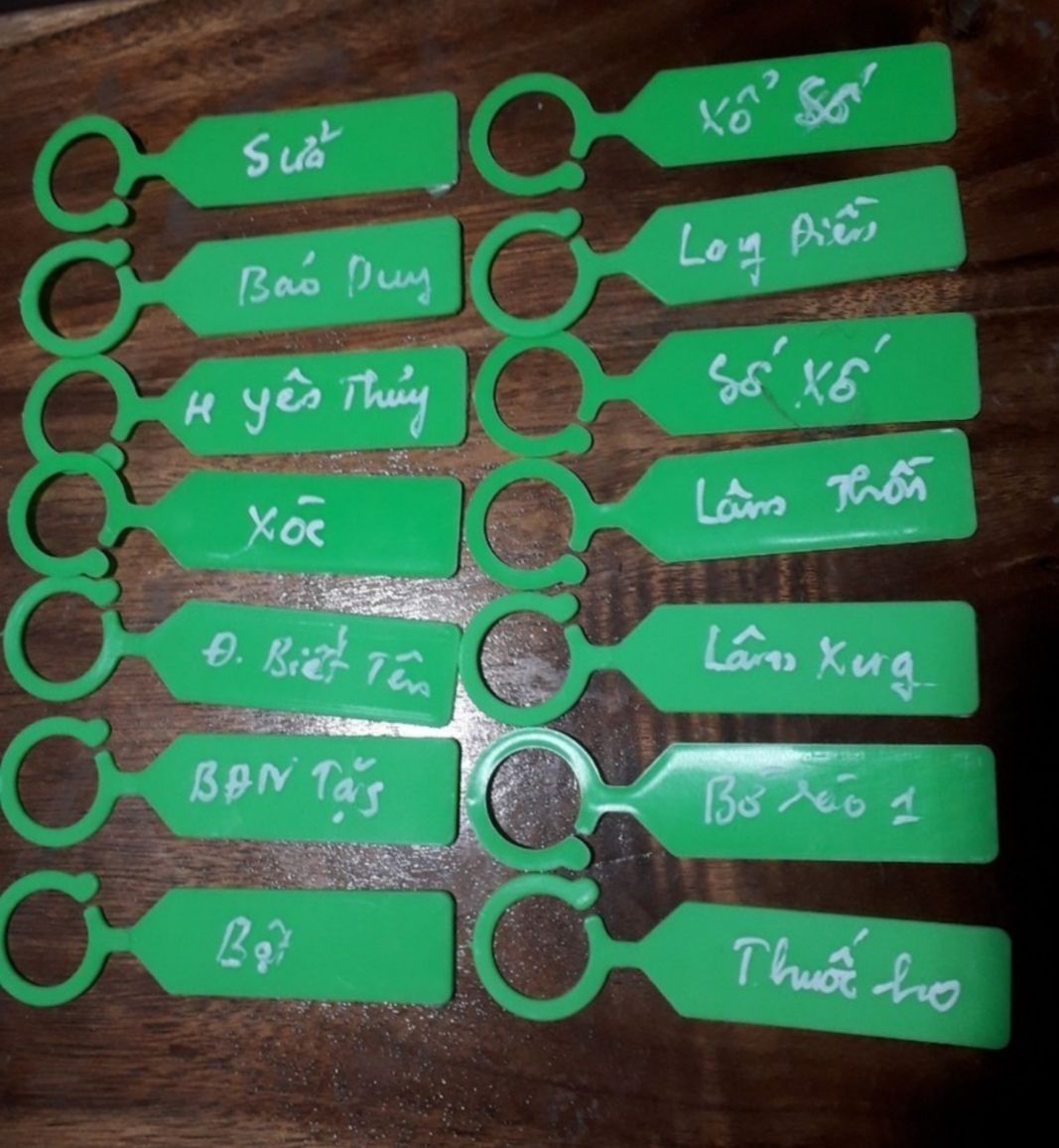 100 thẻ ghi tên lan tặng bút ghi