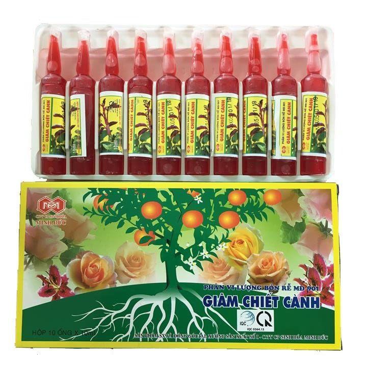 giâm chiết cành 2 ống