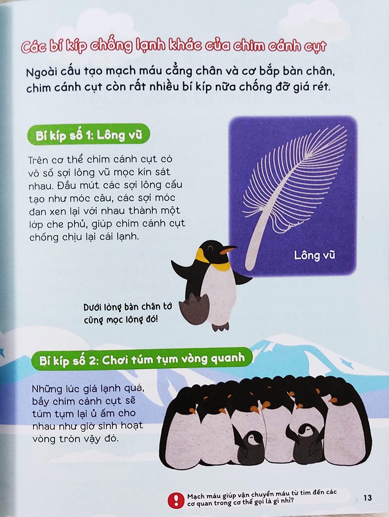 Sách cho bé - Gi Gỉ Gì Gi Cái Gì Cũng Biết - Dành Cho Lớp 3